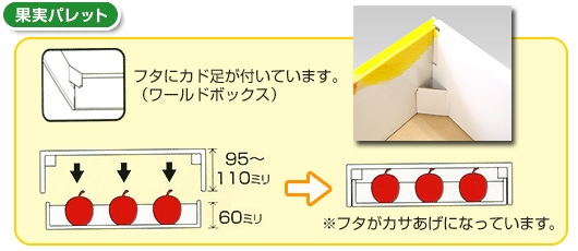 フルーツギフト箱　果実パレット