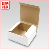 N式箱(深さ80mm以上100mm未満)