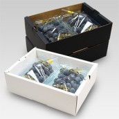 フルーツ 2パック入れ箱