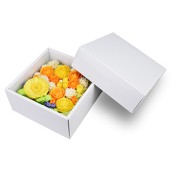 前面オープン式 ケーキ箱