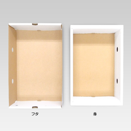 もぎたてのぶどう　2K　【※メーカー直送品につき代引不可】