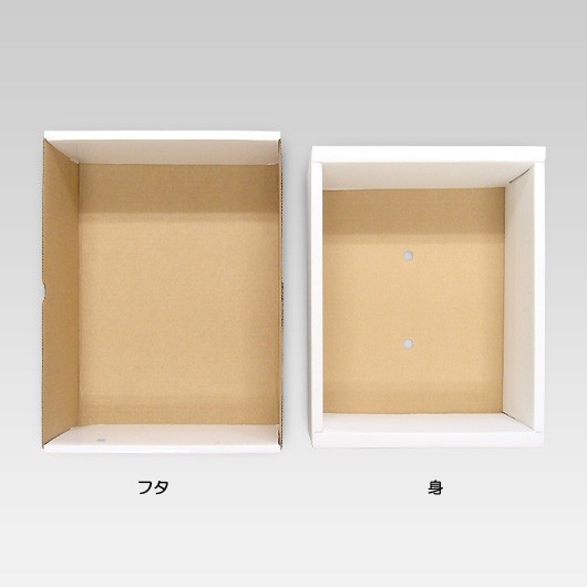 もぎたてのぶどう　大　【※メーカー直送品につき代引不可】