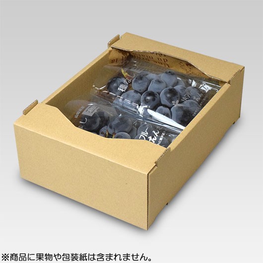 C5サービス　小【L-469】　【※メーカー直送品につき代引不可】