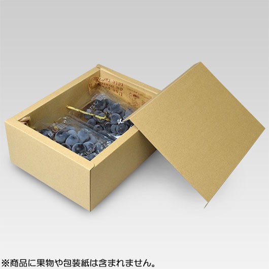 サービス無地【L-2091】　【※メーカー直送品につき代引不可】