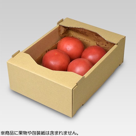 C5サービス 小【L-469】 【※メーカー直送品につき代引不可】