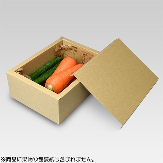 サービス無地【L-2091】　【※メーカー直送品につき代引不可】