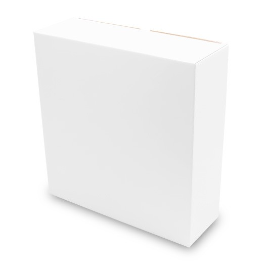 段ボール　キャラメル箱（No.009）【白】