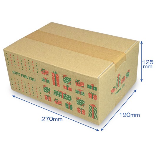 宅配便の60サイズで送れます。