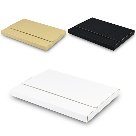 発送用イージーボックス（タトウ式箱）A4対応