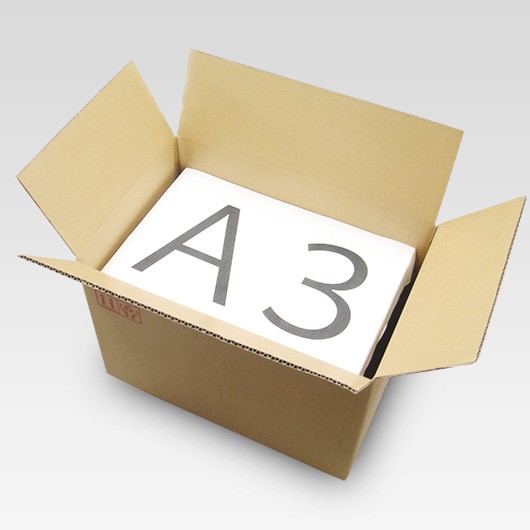 段ボールみかん箱（N-7）