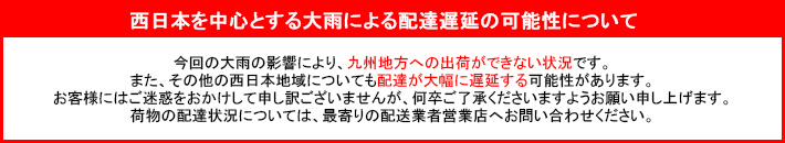 配達遅延の可能性について 配達遅延の可能性について