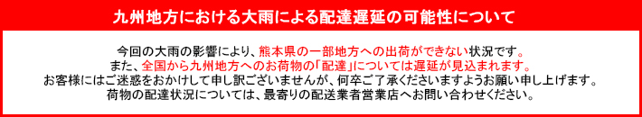 配達遅延の可能性について 配達遅延の可能性について