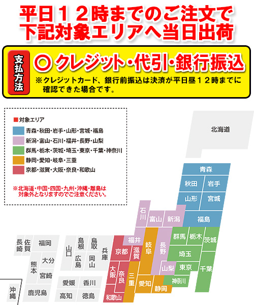 平日12時までのご注文で対象エリアへ当日出荷