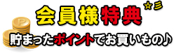 貯まったポイントでお買い物♪